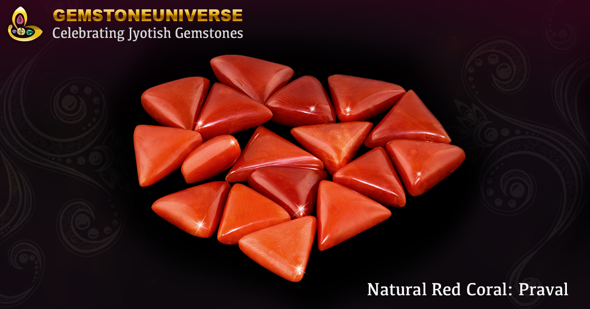 Triangle Shaped Italian Red Coral for Mars in Indian Astrology Lot Praval