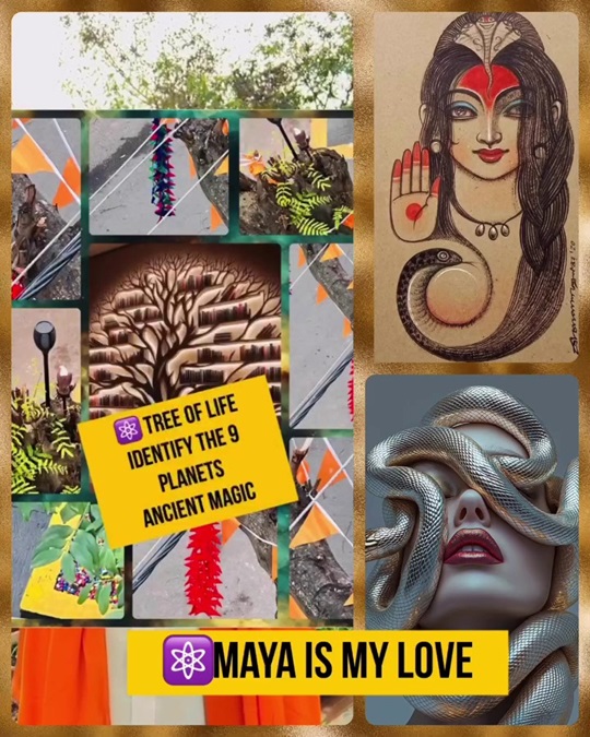 From Illusion to Liberation – Unveiling the Power of Maya and Yogamaya ...