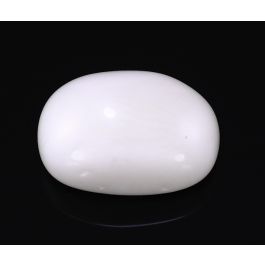 Buy White Coral Gemstone GUDIYAA4340WC| Buy White Coral Stone