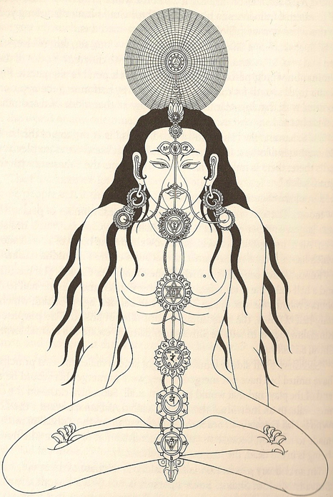 Ida, pingala and the Sushumna nadi