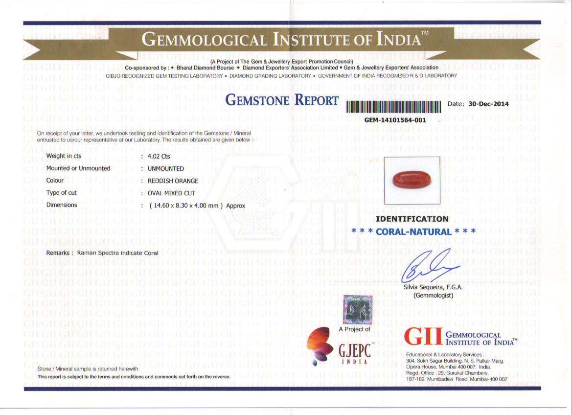 Japanese Red Coral Certificate with Raman Spectroscopy