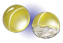 cat's eye gem polished dome and rough underside Image courtesy Professional Jeweller