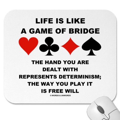 Life is like a game