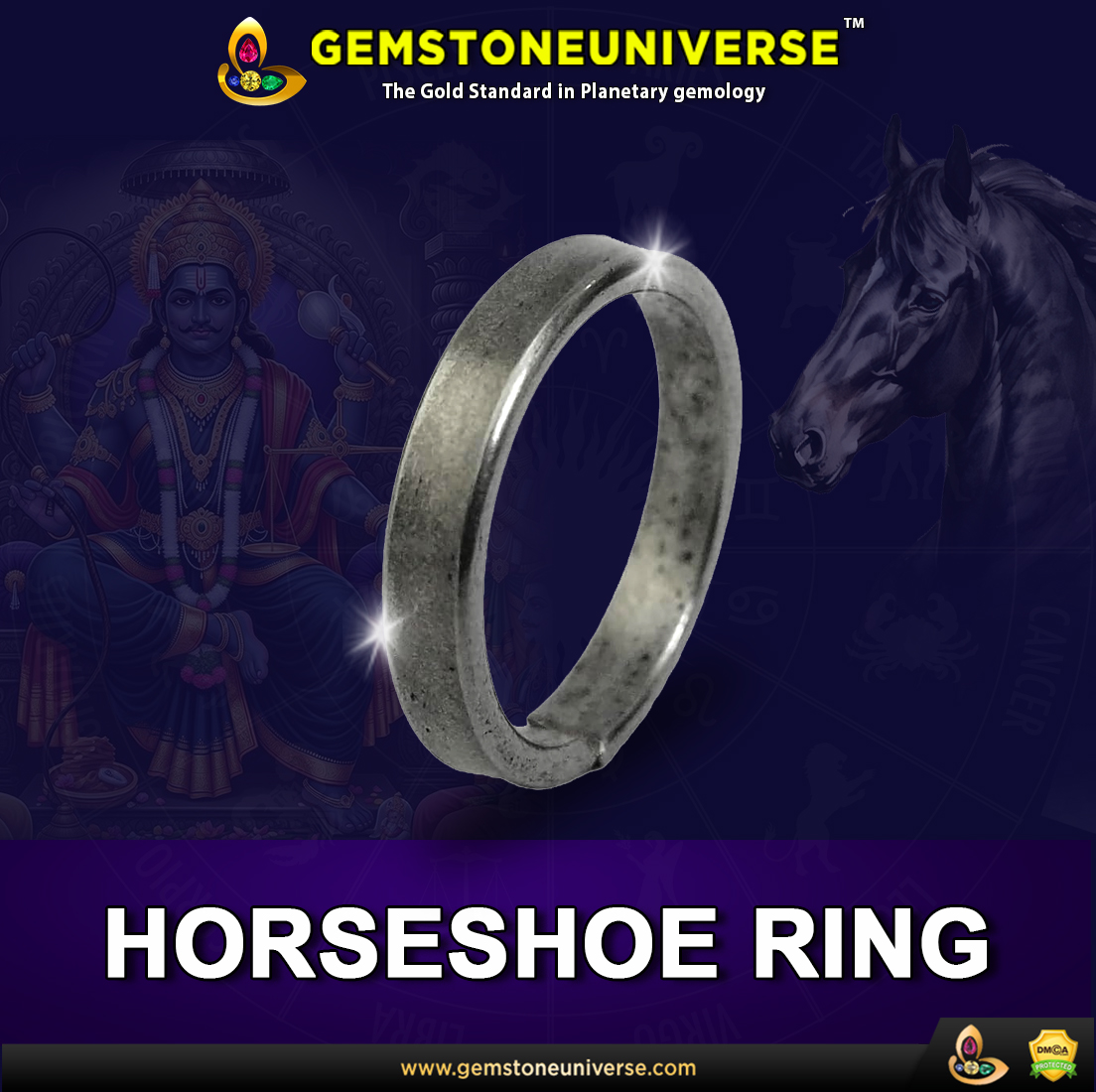 Shani Rind Shani Jayanti Maha Yagya 2026